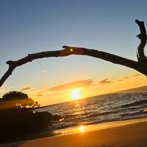 Meet your Posher, Patience